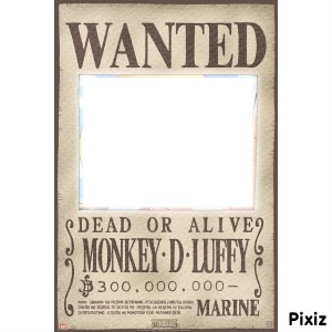 wanted one piece Fotomontaggio