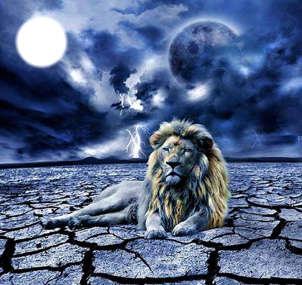 LION Fotomontaż