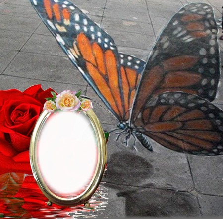 Linda mariposa posando en cuadro Fotomontage