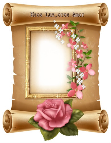 Cc pergamino,marco flores y rosa. Fotomontage