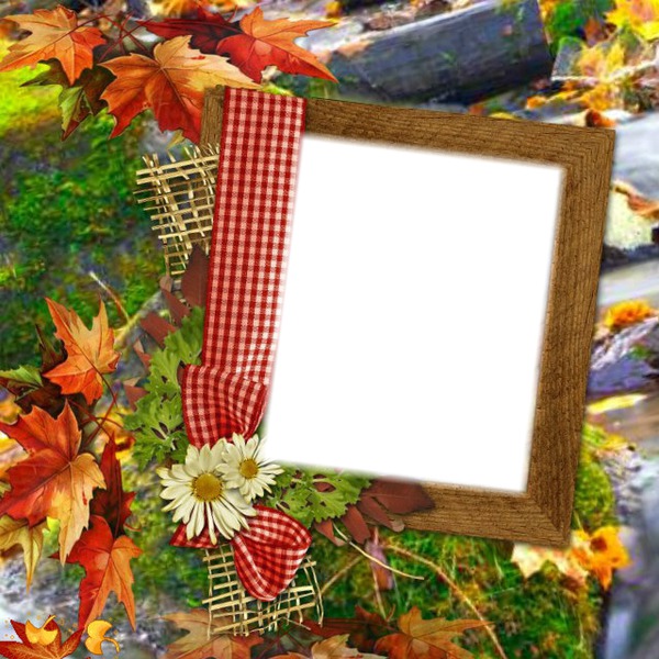 Cadre d'automne Photomontage