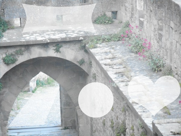 carcassonne porte d'aude 1 Photo frame effect