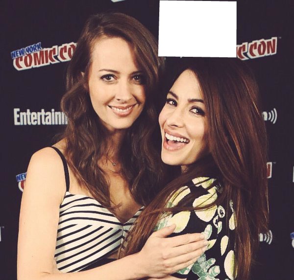 root & shaw Montage photo