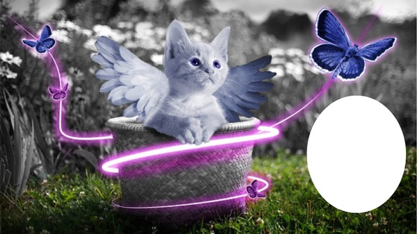 ANGEL KITTY Fotomontage