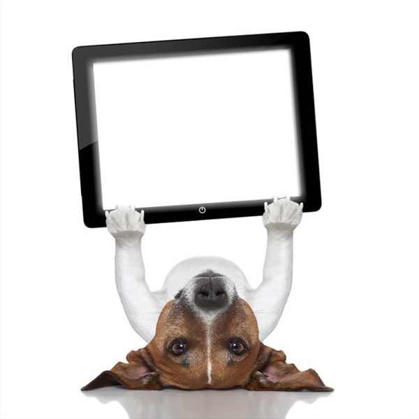 perro con tablet Fotomontage