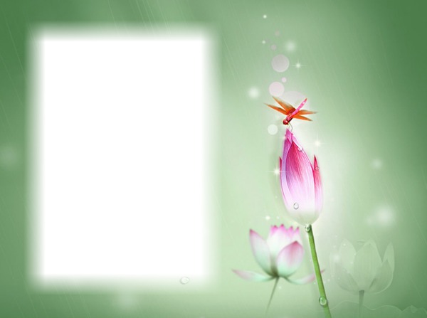 Fleurs-libellule Фотомонтаж