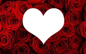 rose pour la st valentin Fotomontaggio