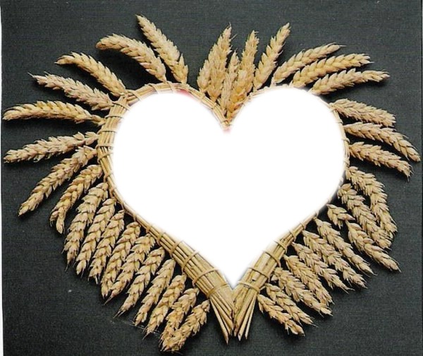 coeur epi de blé Fotomontasje