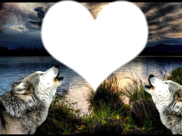 loups a la lune Fotomontáž
