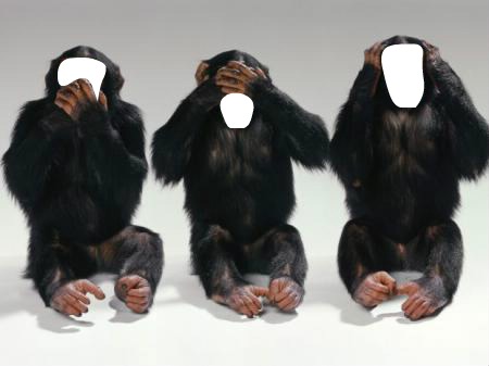 trois singes Fotomontage