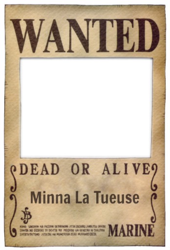 One Piece Wanted ! Fotomontasje