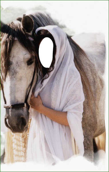Femme " gitane " avec cheval フォトモンタージュ