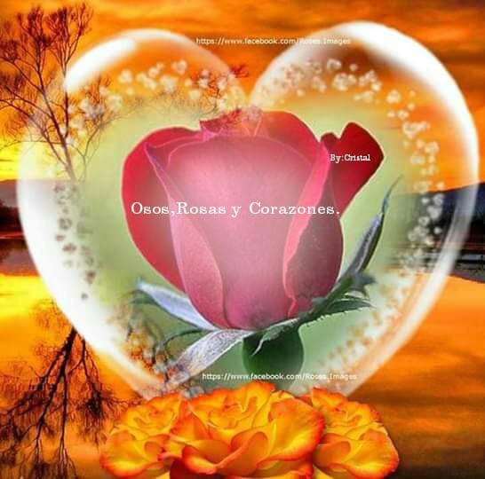 corazon con rosa roja Фотомонтажа