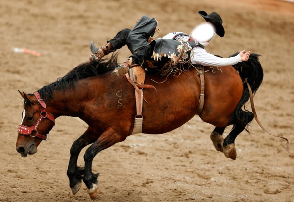 rodeo Photomontage