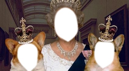 la reine d'angleterre et ses chiens Fotomontasje