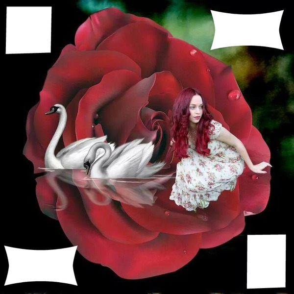 fleur rouge avec cygnes et femme フォトモンタージュ
