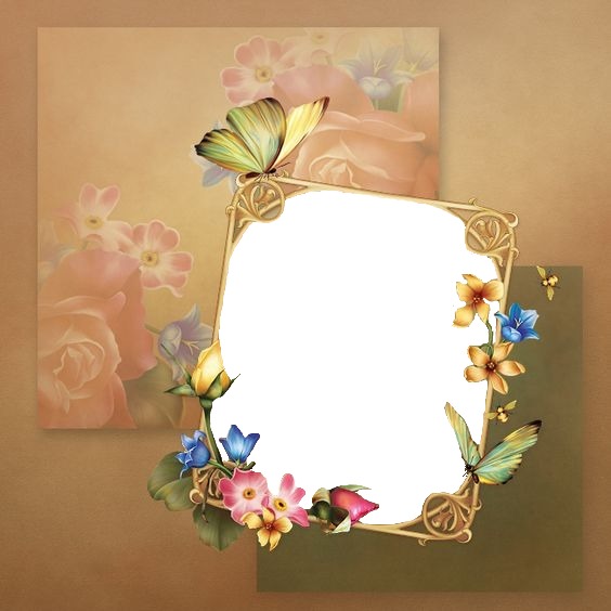 marco mariposas y flores. Fotomontagem