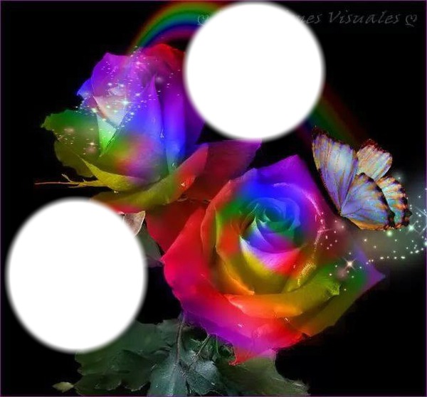 Flores de colores Photomontage