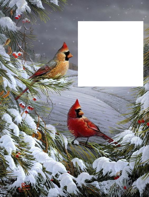 oiseaux d'hiver Фотомонтаж