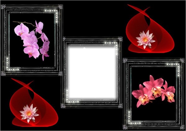 Cadre orchidées Photomontage