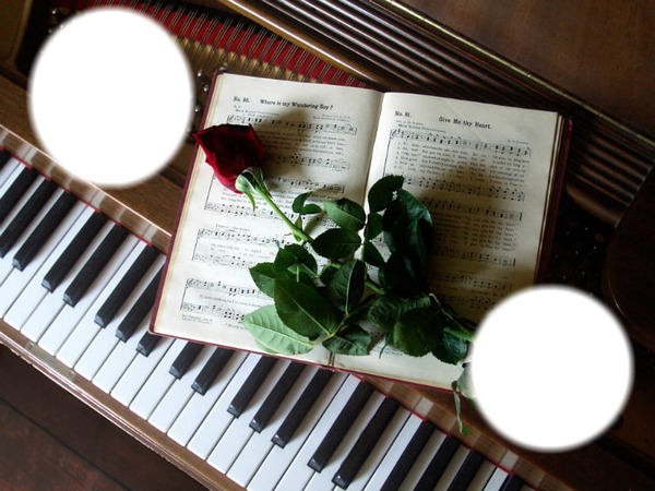 rose sur un piano Photo frame effect