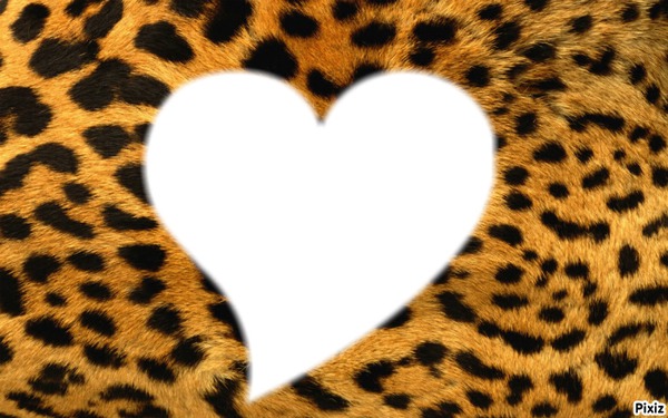 leopard coeur Fotomontagem
