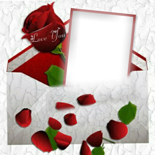 Roses rouge Fotomontasje