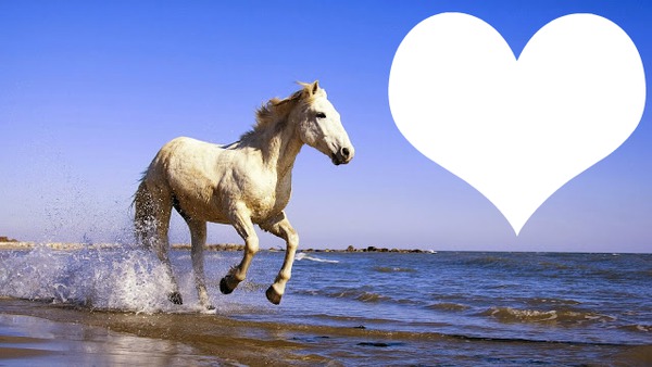 i love horse Fotomontage