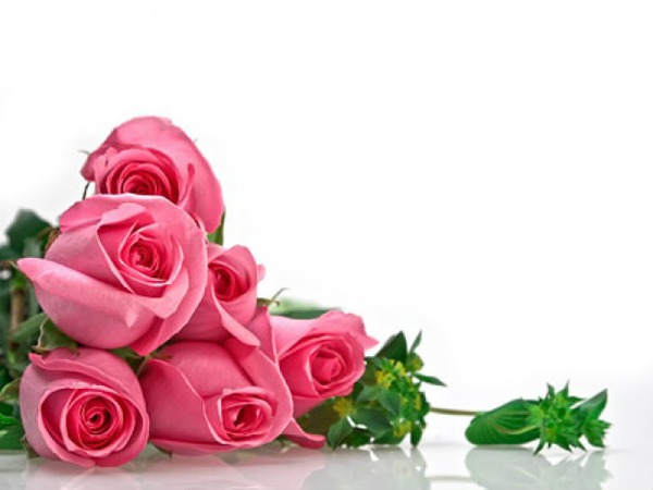 mignonne rose Fotomontaggio