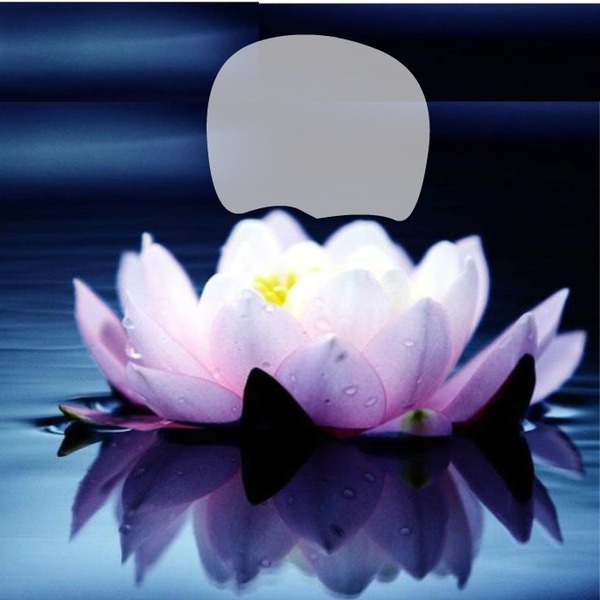 Lotus.1 Fotomontage