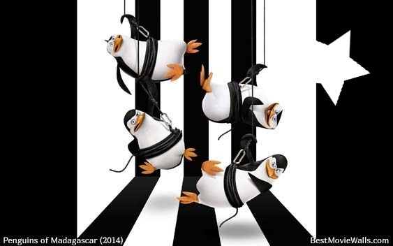 Penguins Madagascar Fotomontaggio