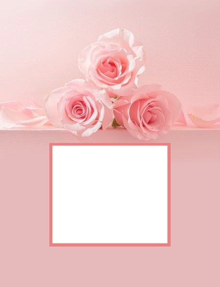 marco y rosas rosadas. Fotómontázs