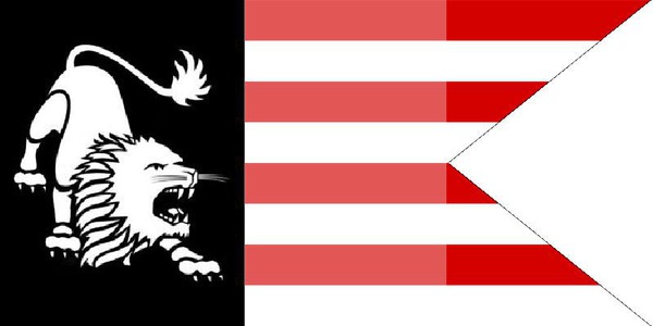 HUN FLAG 2 Photomontage