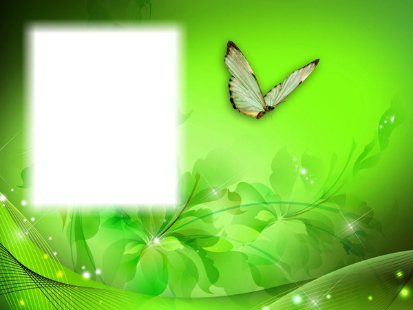 Papillon-fleurs-fond vert Photomontage