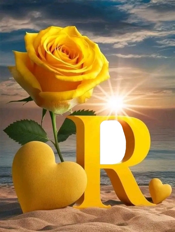 R, Rosa Y Corazón Amarillos. Photo Frame Effect | Pixiz