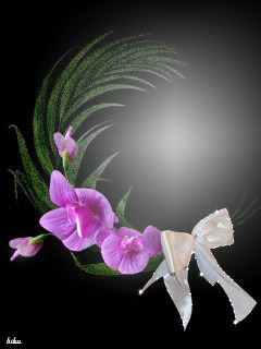 орхидея Fotomontagem