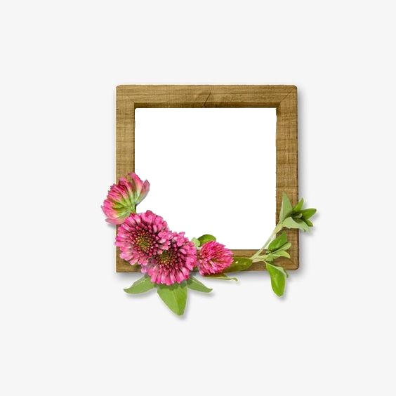 marco y flores fucsia. Photo frame effect
