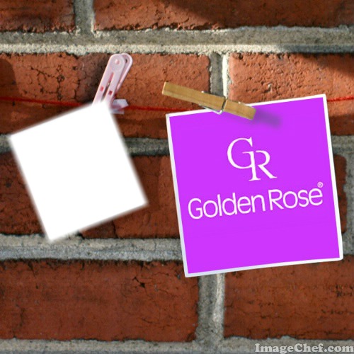Golden Rose Montage photo