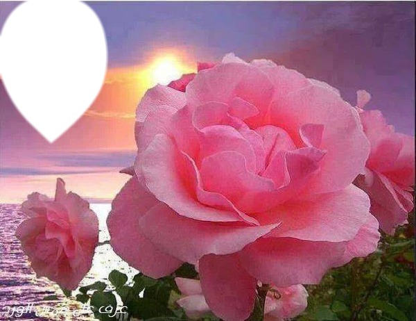 coucher de soleil rose Fotomontage
