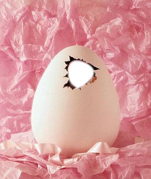 egg Photo frame effect