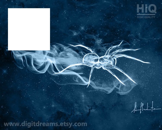 araignée patronus Photo frame effect