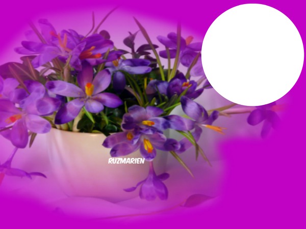 lindas flores para ti Fotomontagem