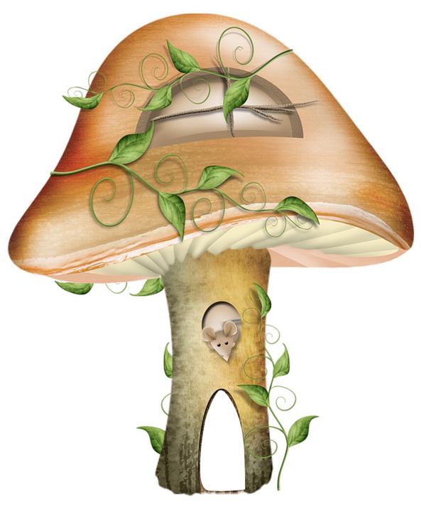 champignon Fotomontáž