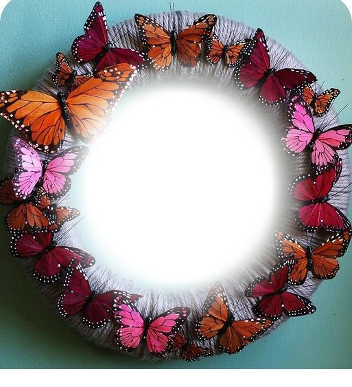 vlinders Photo frame effect
