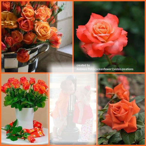 Les roses orange Fotomontáž