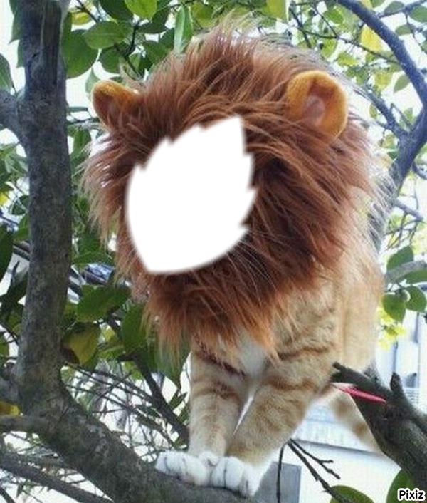 le roi lion Photomontage