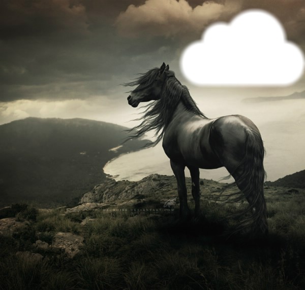 cheval nuage Photo frame effect