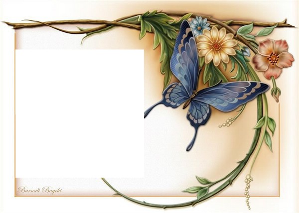 Papillon & fleurs Photomontage