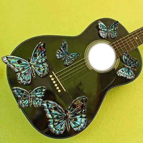 butterfly music Photo frame effect