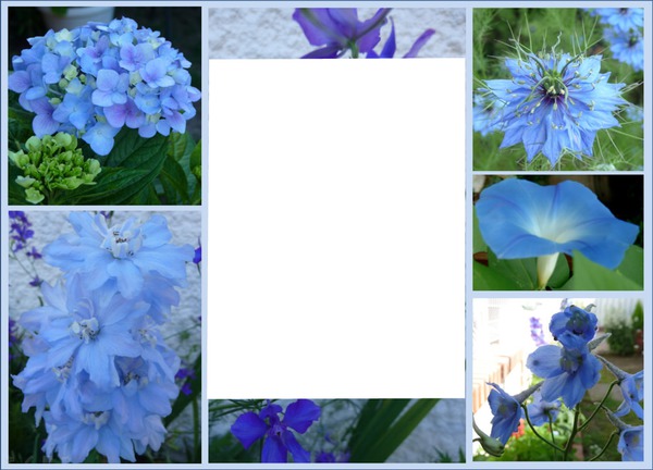 fleurs bleues Fotomontaż